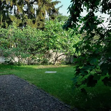 Charmantes Fachwerkhaus Mit Stil Altrip